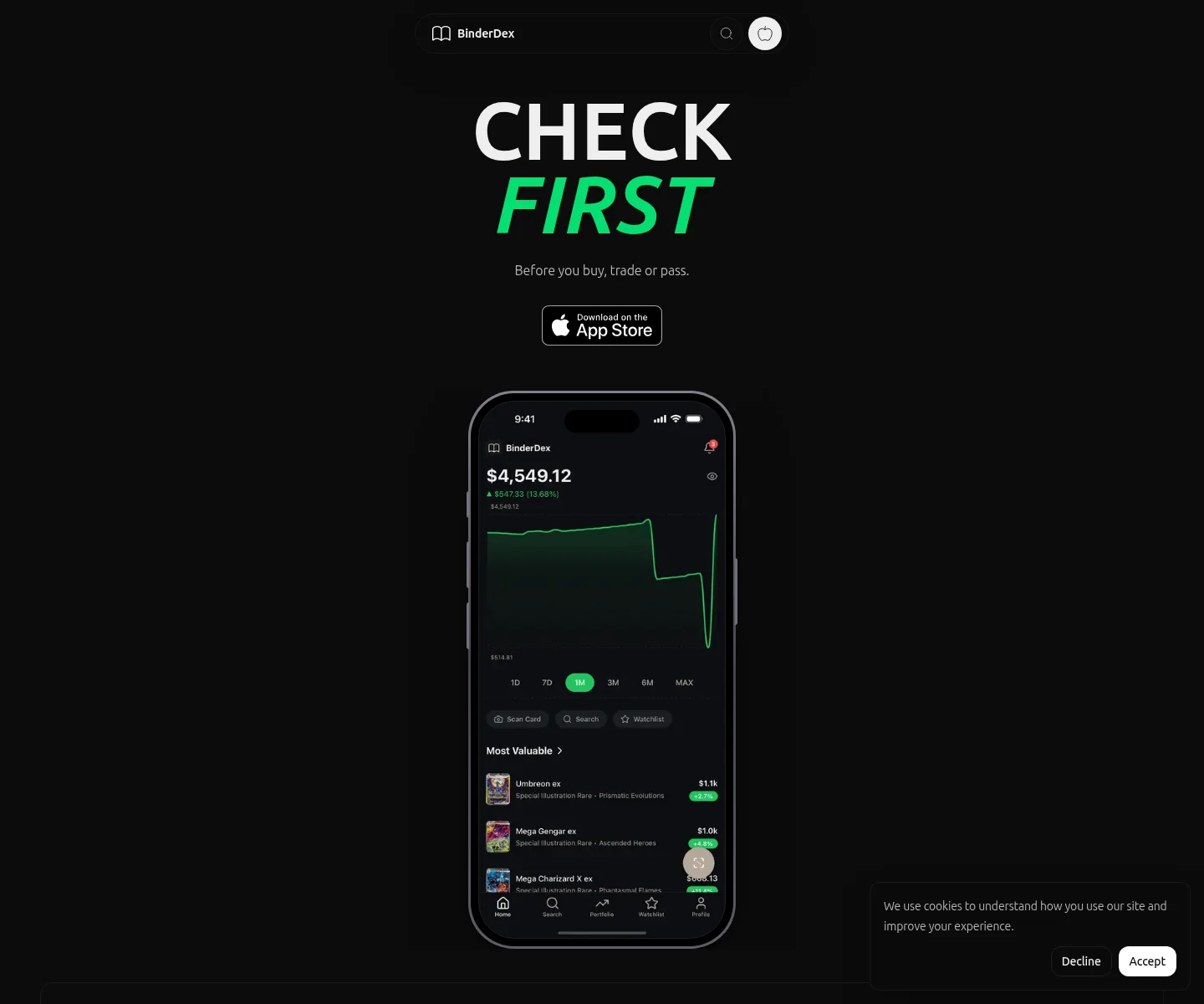Website hero captured during scan